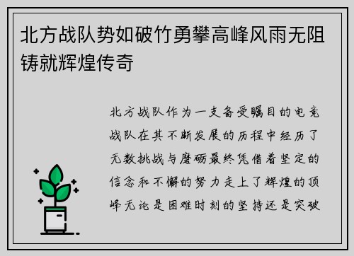 北方战队势如破竹勇攀高峰风雨无阻铸就辉煌传奇